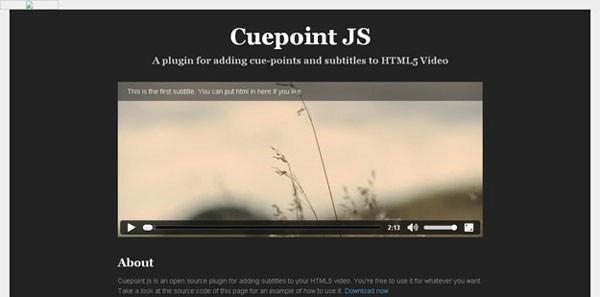 jquery-video-plugin-cuepointjs
