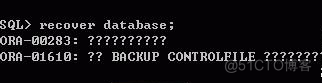 【北亚数据恢复】服务器断电导致Oracle数据库报错：“system01.dbf需要更多的恢复来保持一致性”的数据恢复案例_数据恢复_03