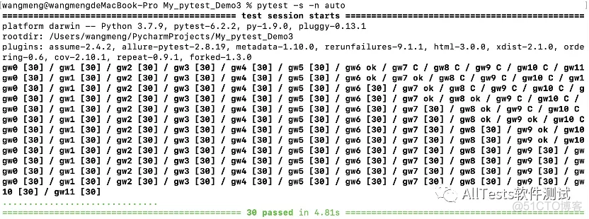 Python测试框架pytest（22）插件 - pytest-xdist（分布式执行）_根目录_03