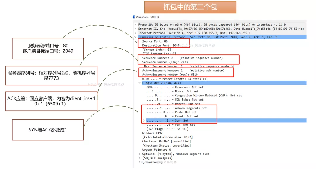 初识TCP，实验加抓包带你理解为什么需要三次握手、四次挥手_客户端_11