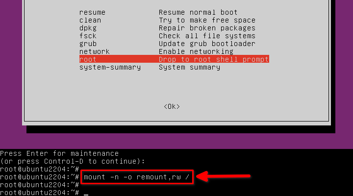 Mount Root File System In Read Write Mode In Ubuntu