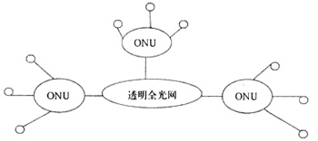 图1  全光网的结构示意图