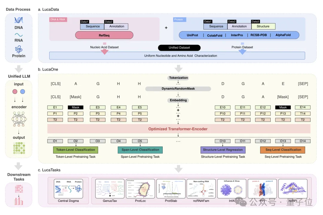 AlphaFold 3不开源，统一生物语言大模型阿里云先开了！-AI.x社区