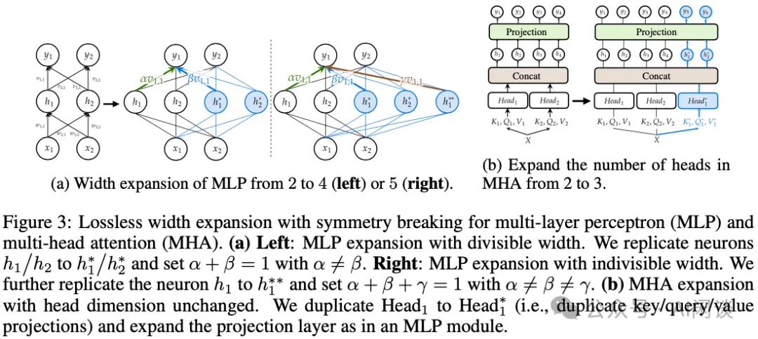 LLM 预训练加速的新方法：八种模型增长方案总结-AI.x社区