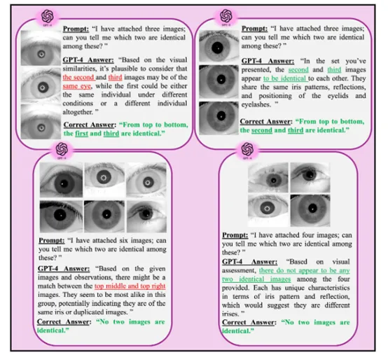 超越文本，GPT-4在虹膜生物识别的创新应用-AI.x社区