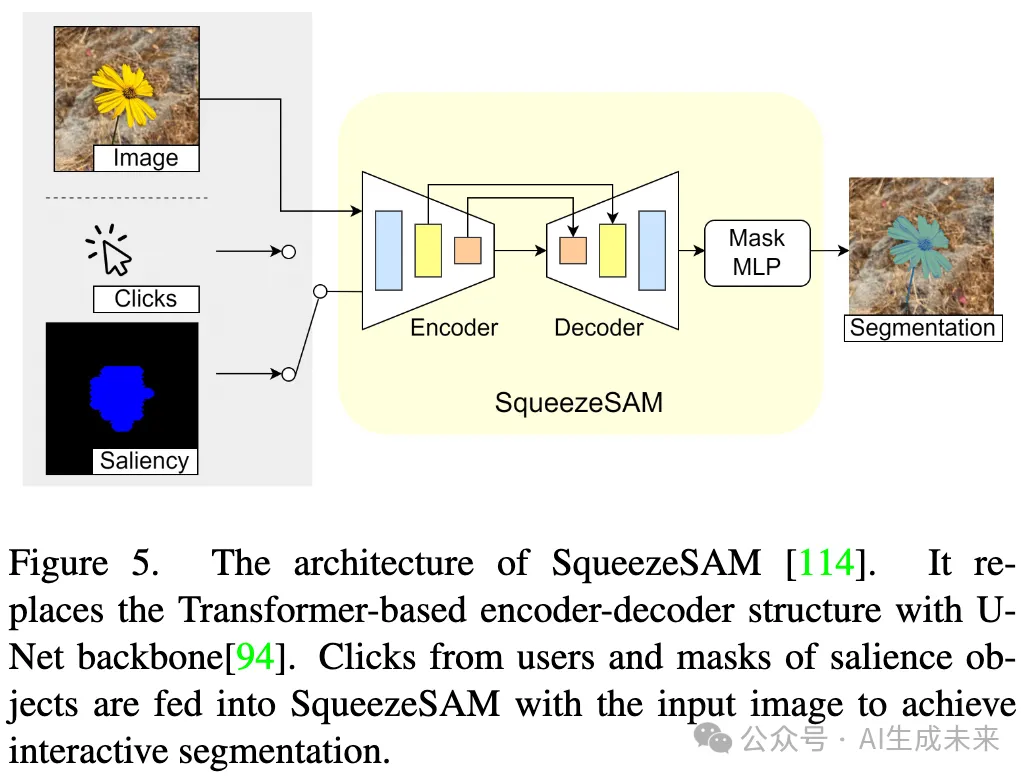 首篇！全面系统解读高效SAM变体：各种加速策略和核心技术展示-AI.x社区