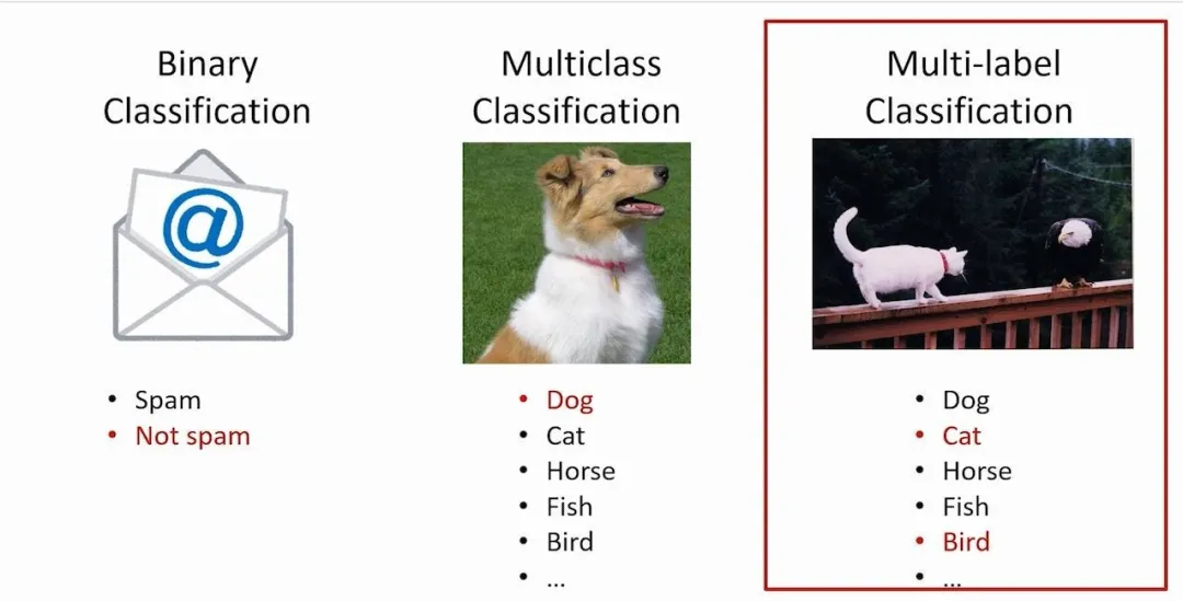 一文彻底搞懂机器学习 - 分类（Classification）-AI.x社区