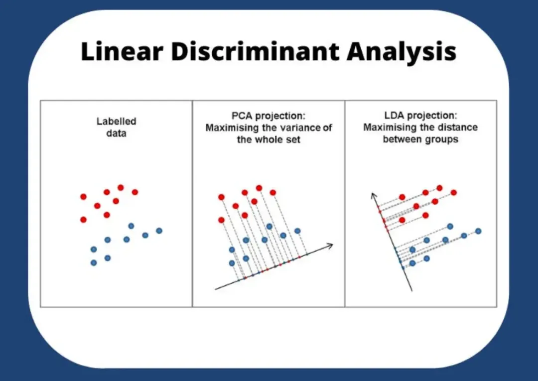 一文彻底搞懂机器学习 - 聚类与降维（Clustering And Dimensionality Reduction）-AI.x社区